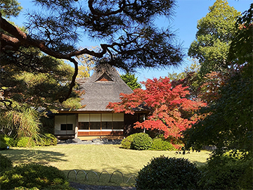 最終回 京都・天使の里